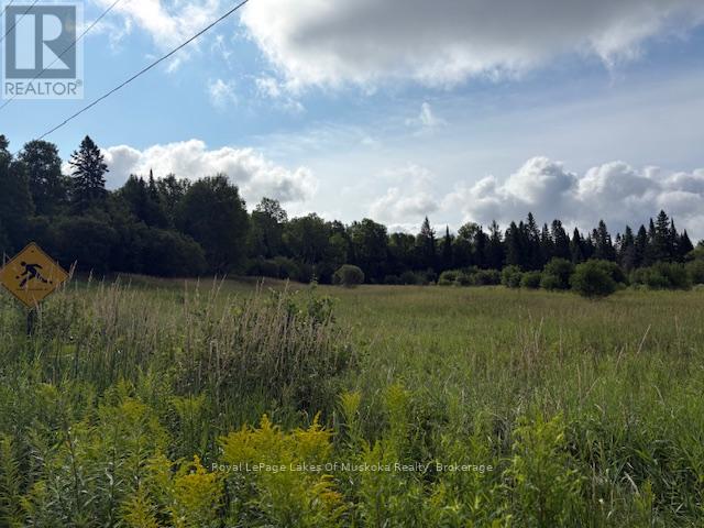 0 Old Muskoka To The East Side Of #1105 Road, Huntsville, Ontario  P0B 1M0 - Photo 4 - X12946040