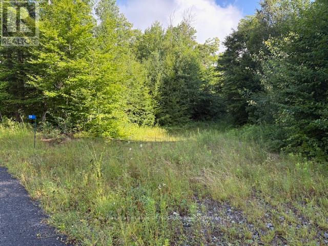 59 Summer Leigh Trail, Huntsville, Ontario  P0B 1M0 - Photo 1 - X12946102