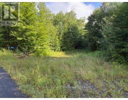 59 SUMMER LEIGH TRAIL, Huntsville, Ontario