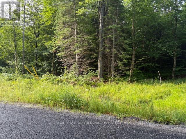 60 Summer Leigh Trail, Huntsville, Ontario  P0B 1M0 - Photo 2 - X12946170