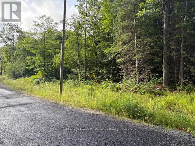 60 Summer Leigh Trail, Huntsville, Ontario  P0B 1M0 - Photo 3 - X12946170