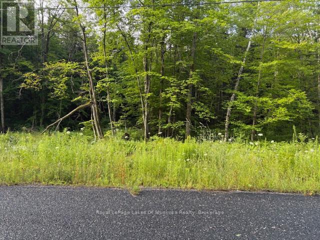 60 Summer Leigh Trail, Huntsville, Ontario  P0B 1M0 - Photo 7 - X12946170