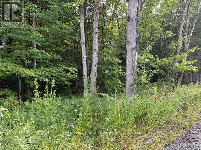 47 Summer Leigh Trail, Huntsville, Ontario  P0B 1M0 - Photo 5 - X12946200