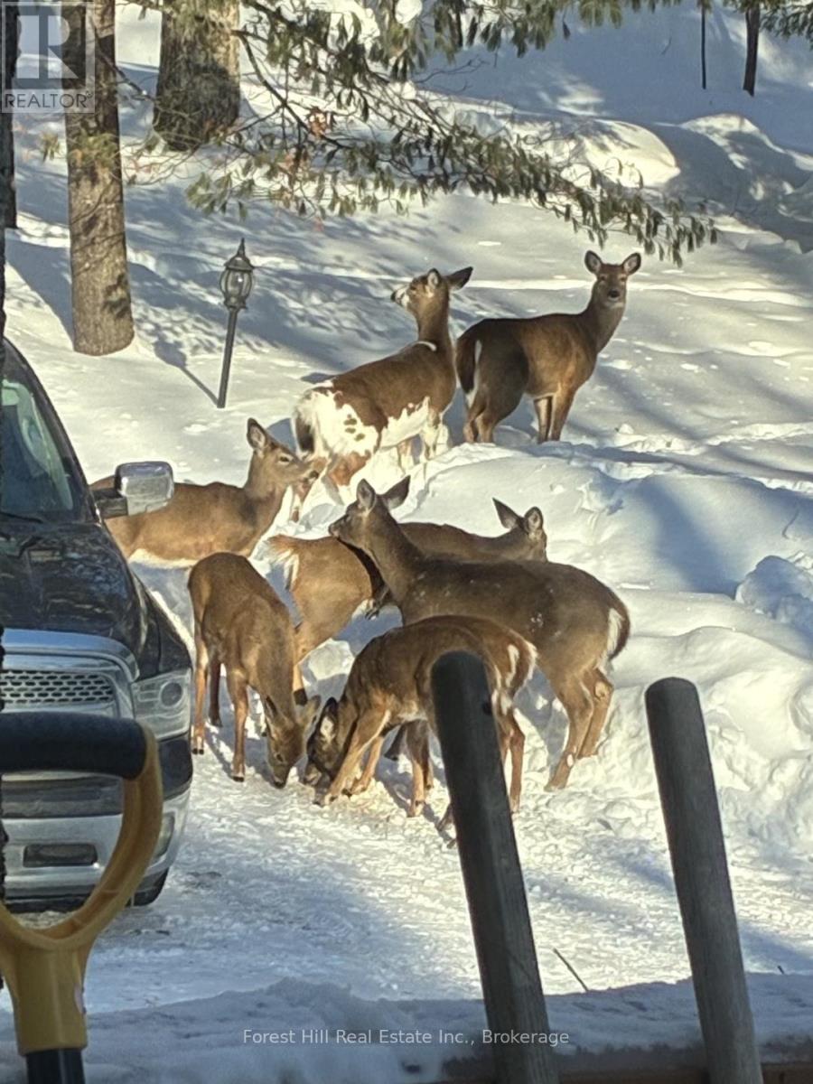 1289 Delbrooke Road S, Lake Of Bays, Ontario  P0H 1H0 - Photo 4 - X12947662