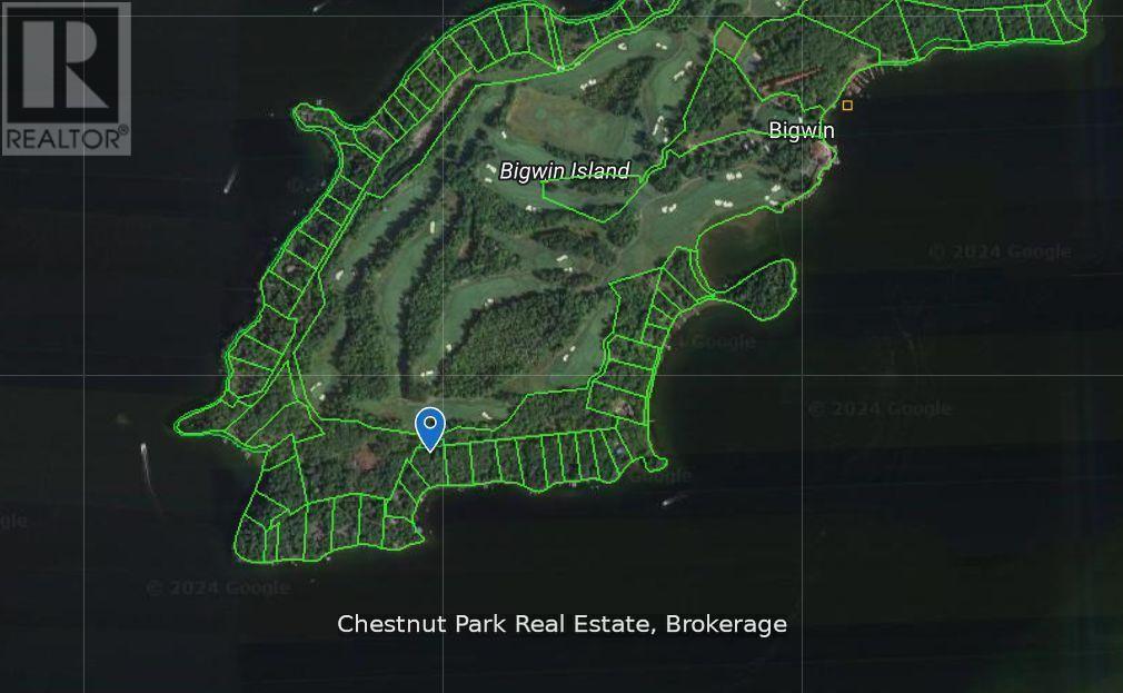 66 Bigwin Island, Lake Of Bays, Ontario  P0B 1A0 - Photo 13 - X12948990