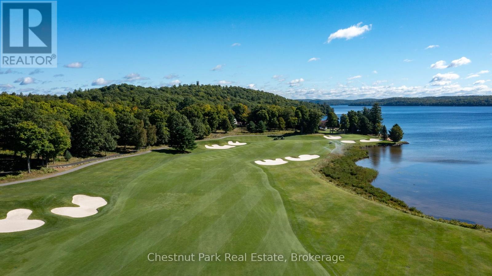 66 Bigwin Island, Lake Of Bays, Ontario  P0B 1A0 - Photo 18 - X12948990