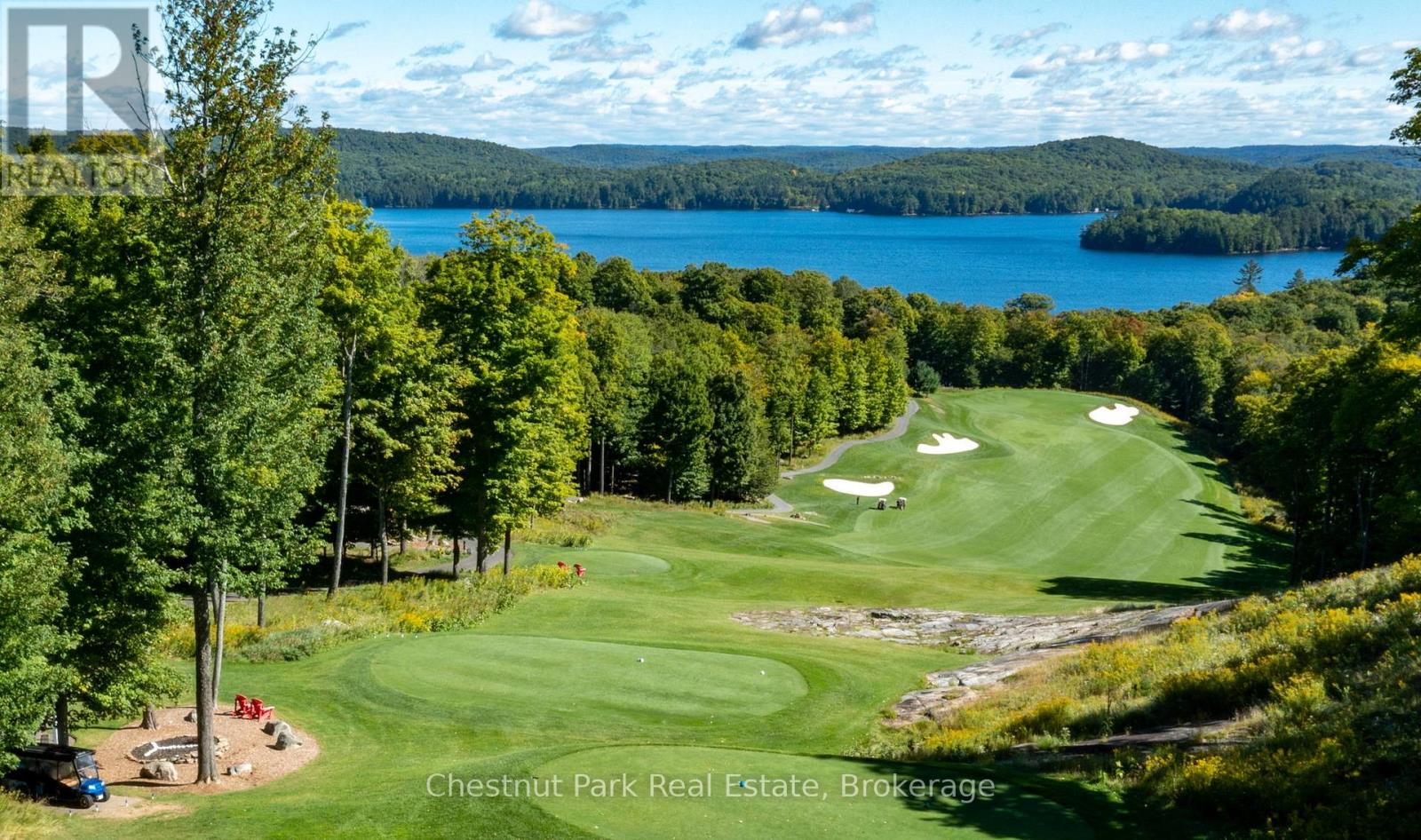 66 Bigwin Island, Lake Of Bays, Ontario  P0B 1A0 - Photo 21 - X12948990