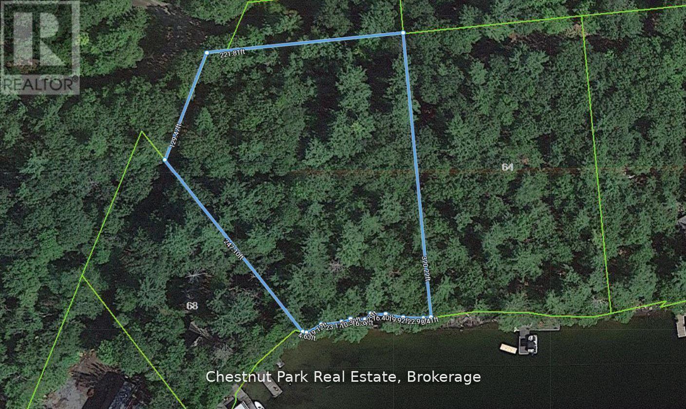 66 Bigwin Island, Lake Of Bays, Ontario  P0B 1A0 - Photo 6 - X12948990