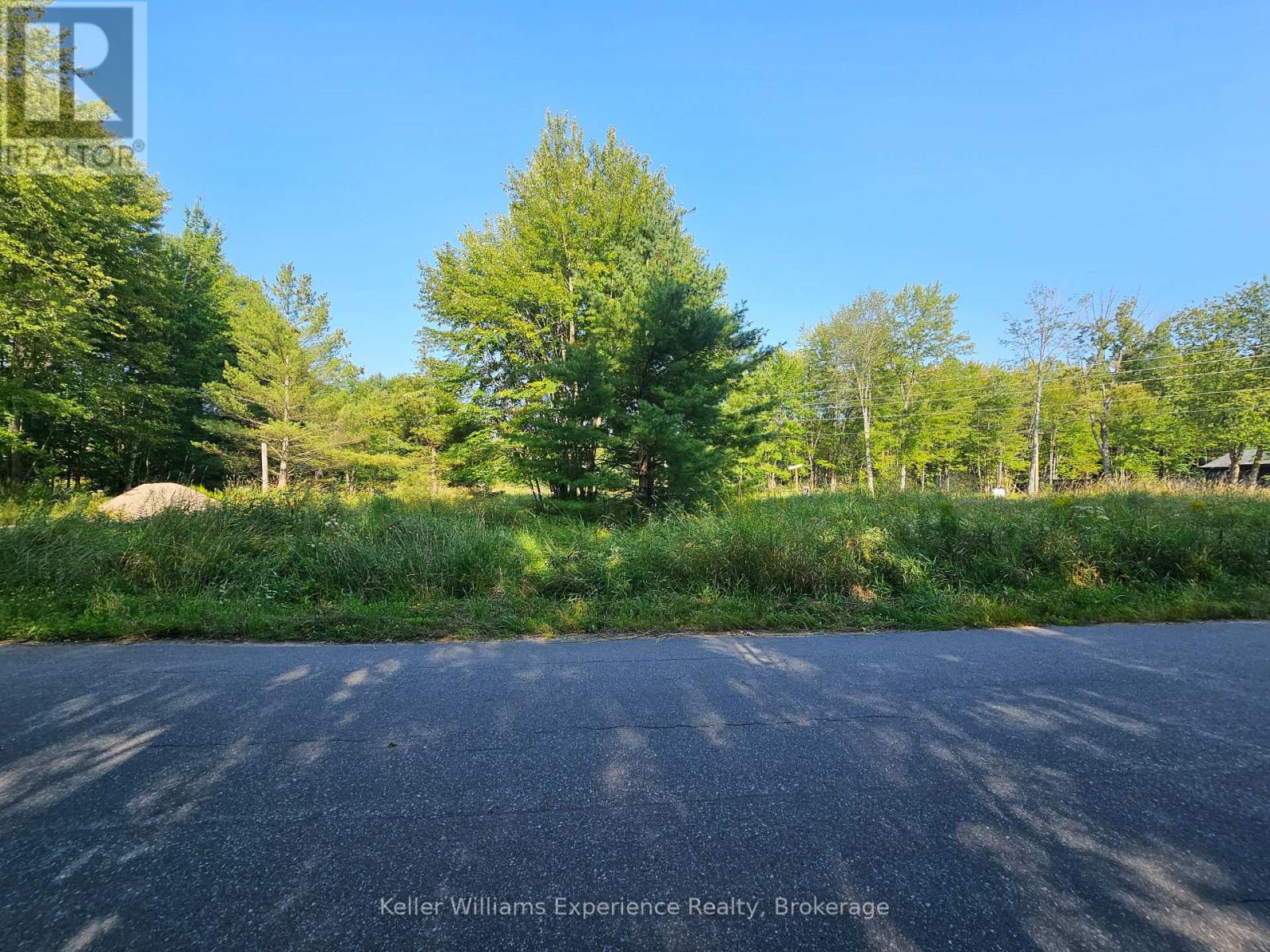 1006 Bowyers Beach Road, Bracebridge, Ontario  P1L 1W8 - Photo 6 - X12949312