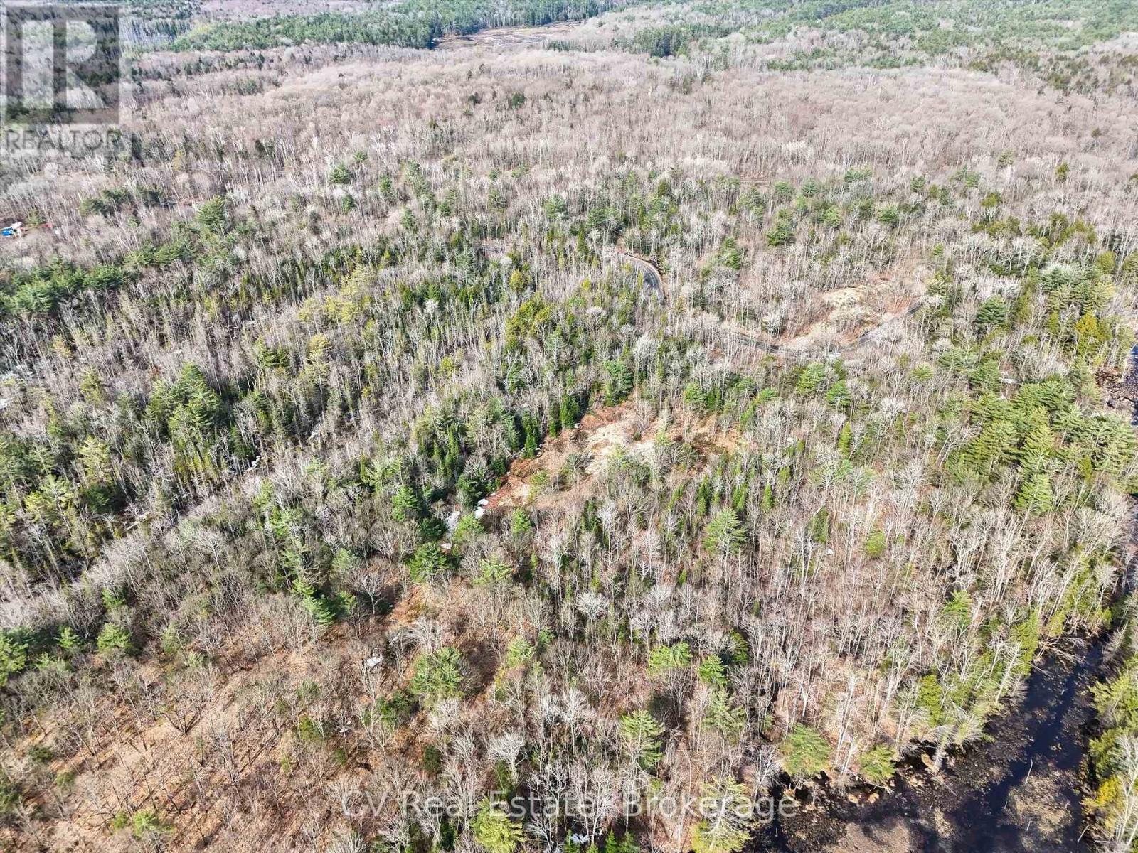 3410 Southwood Road, Gravenhurst, Ontario  P0G 1G0 - Photo 10 - X12949918