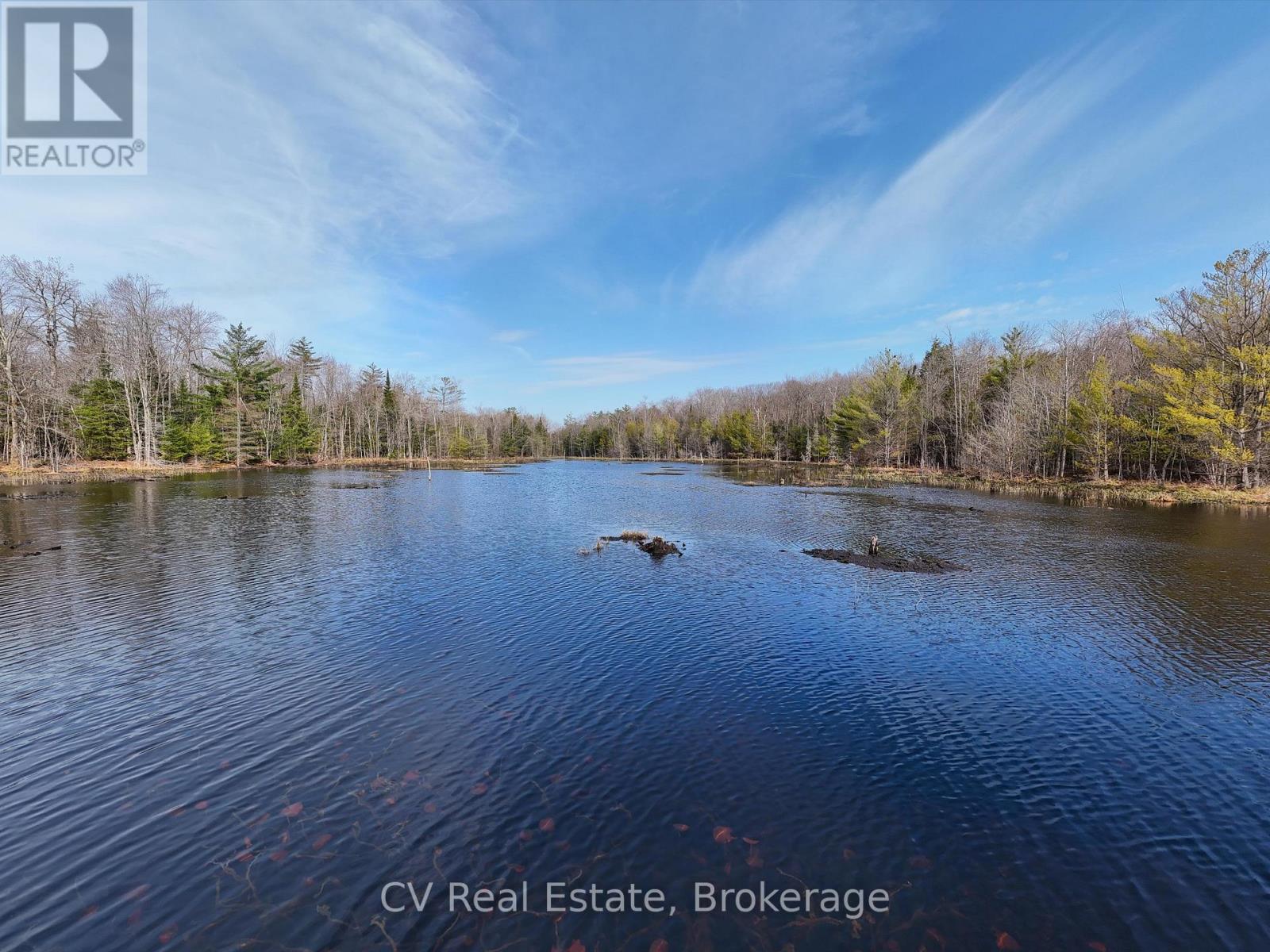 3410 Southwood Road, Gravenhurst, Ontario  P0G 1G0 - Photo 13 - X12949918