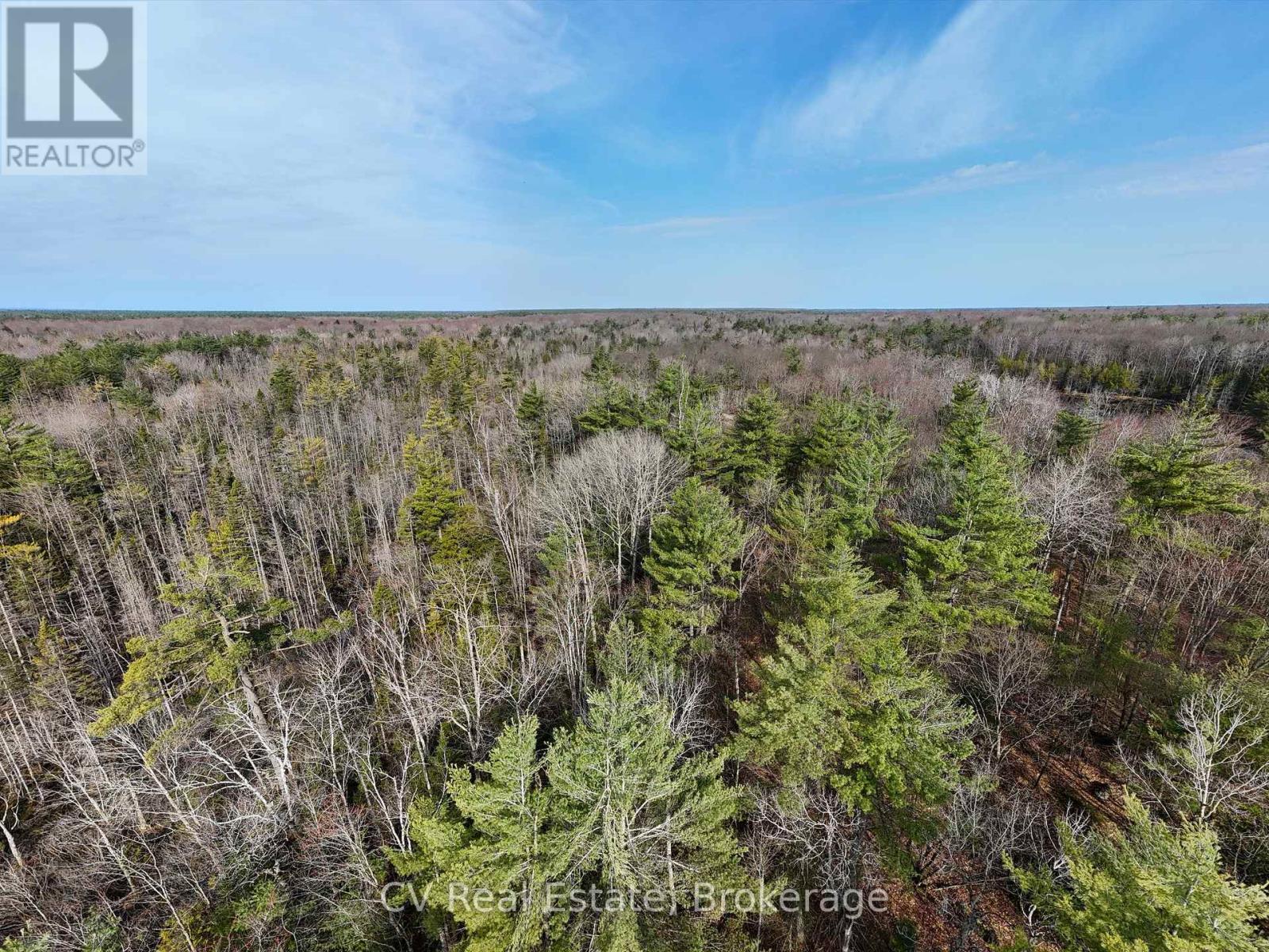 3410 Southwood Road, Gravenhurst, Ontario  P0G 1G0 - Photo 6 - X12949918