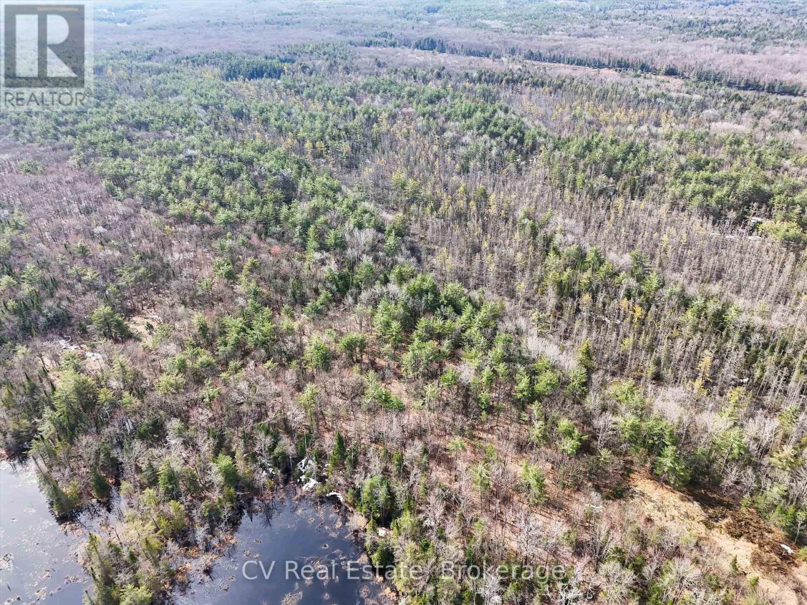 3410 Southwood Road, Gravenhurst, Ontario  P0G 1G0 - Photo 8 - X12949918