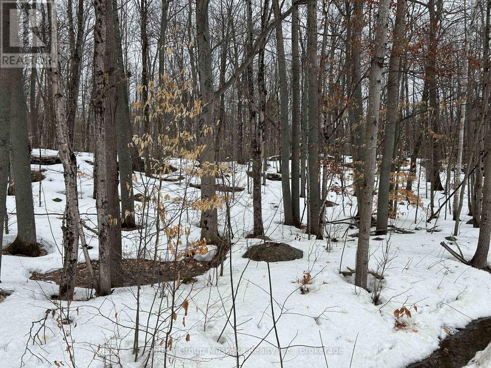 0 Tally Ho Winter Park Road, Lake Of Bays, Ontario  P1H 2J3 - Photo 1 - X12953526