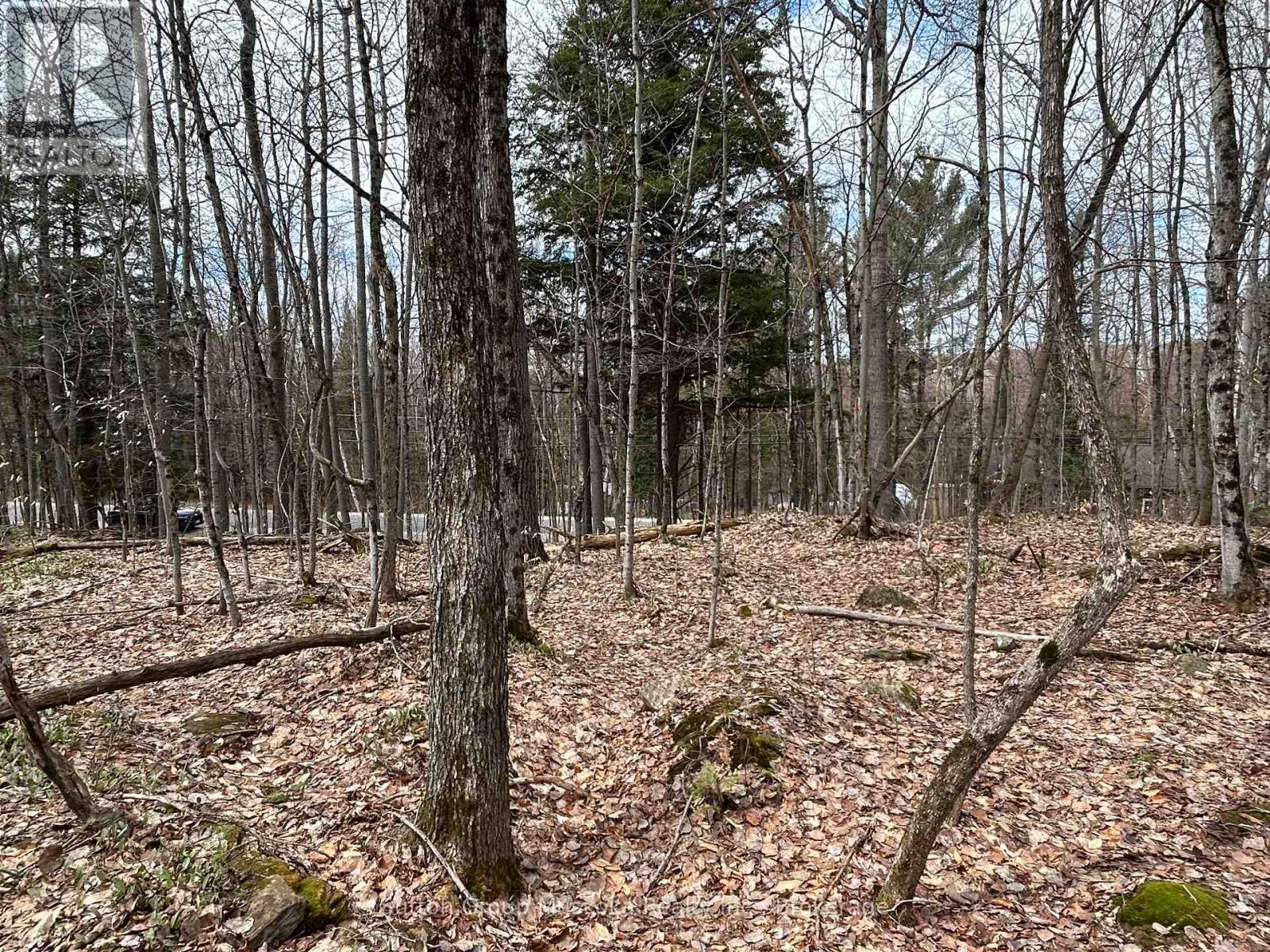 0 Tally Ho Winter Park Road, Lake Of Bays, Ontario P1H 2J3 - Photo 10 - X12953526