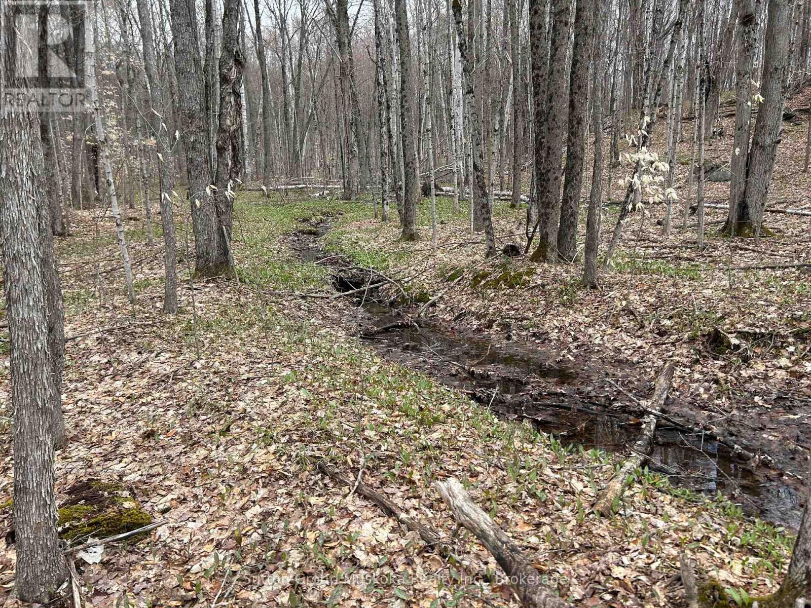 0 Tally Ho Winter Park Road, Lake Of Bays, Ontario P1H 2J3 - Photo 11 - X12953526