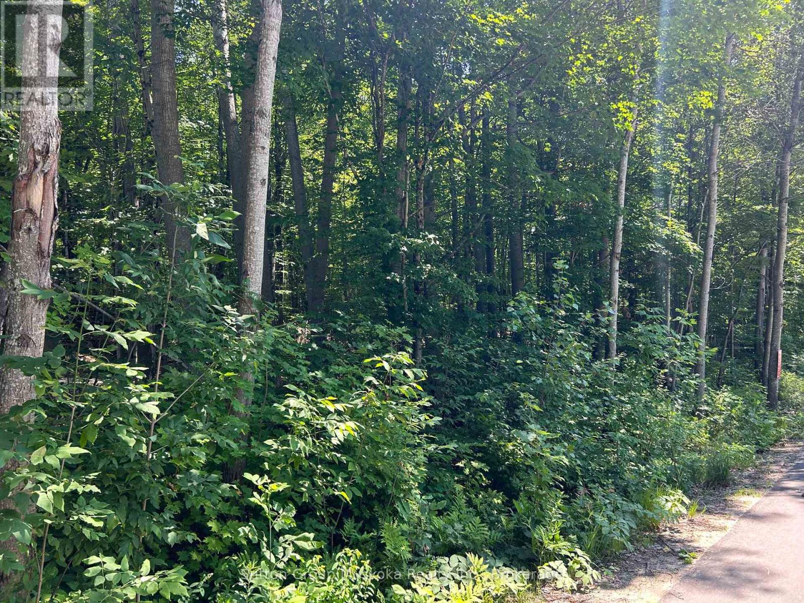 0 Tally Ho Winter Park Road, Lake Of Bays, Ontario P1H 2J3 - Photo 15 - X12953526