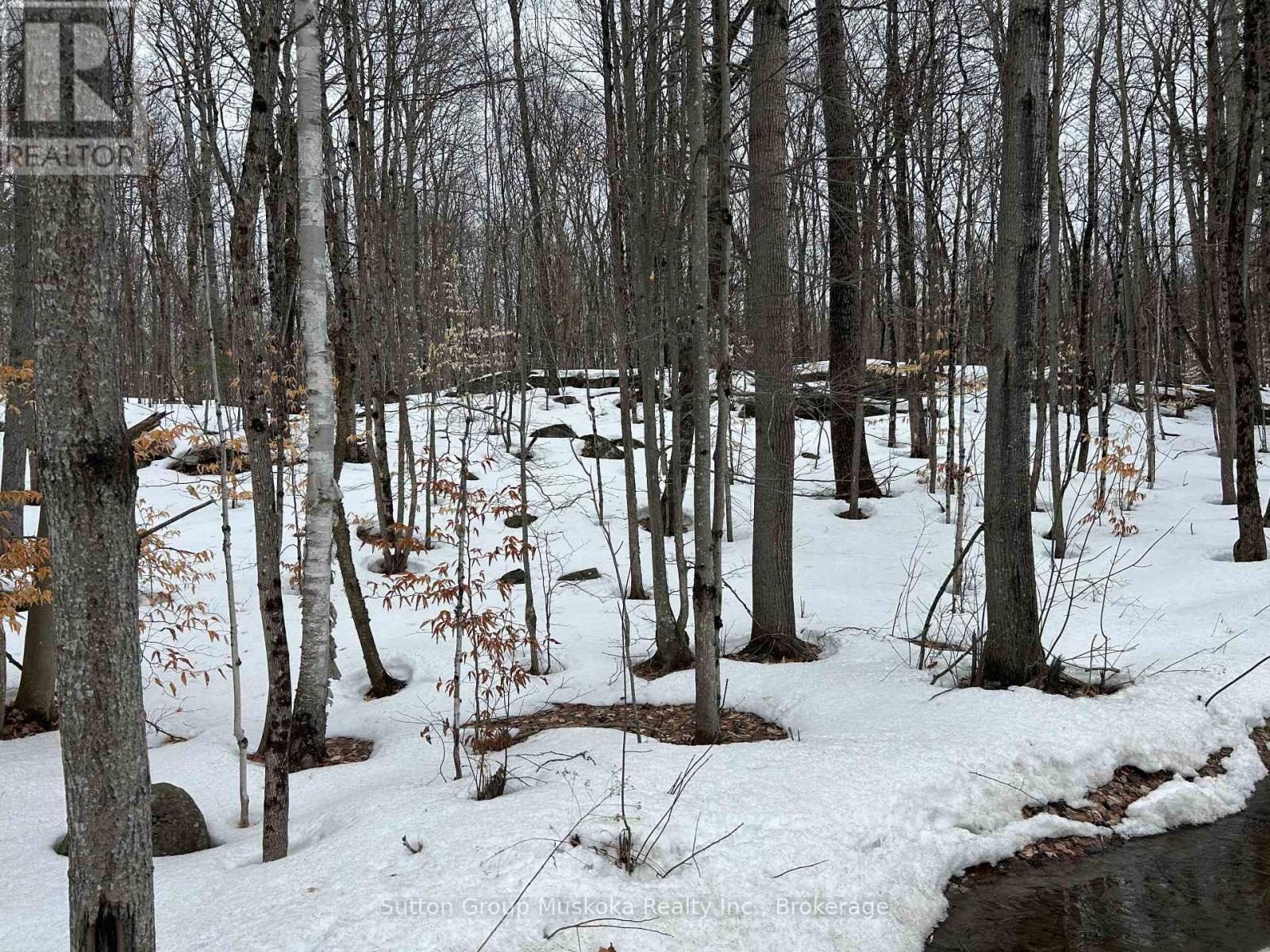 0 Tally Ho Winter Park Road, Lake Of Bays, Ontario  P1H 2J3 - Photo 3 - X12953526