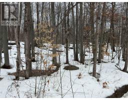 0 TALLY HO WINTER PARK ROAD, Lake of Bays, Ontario
