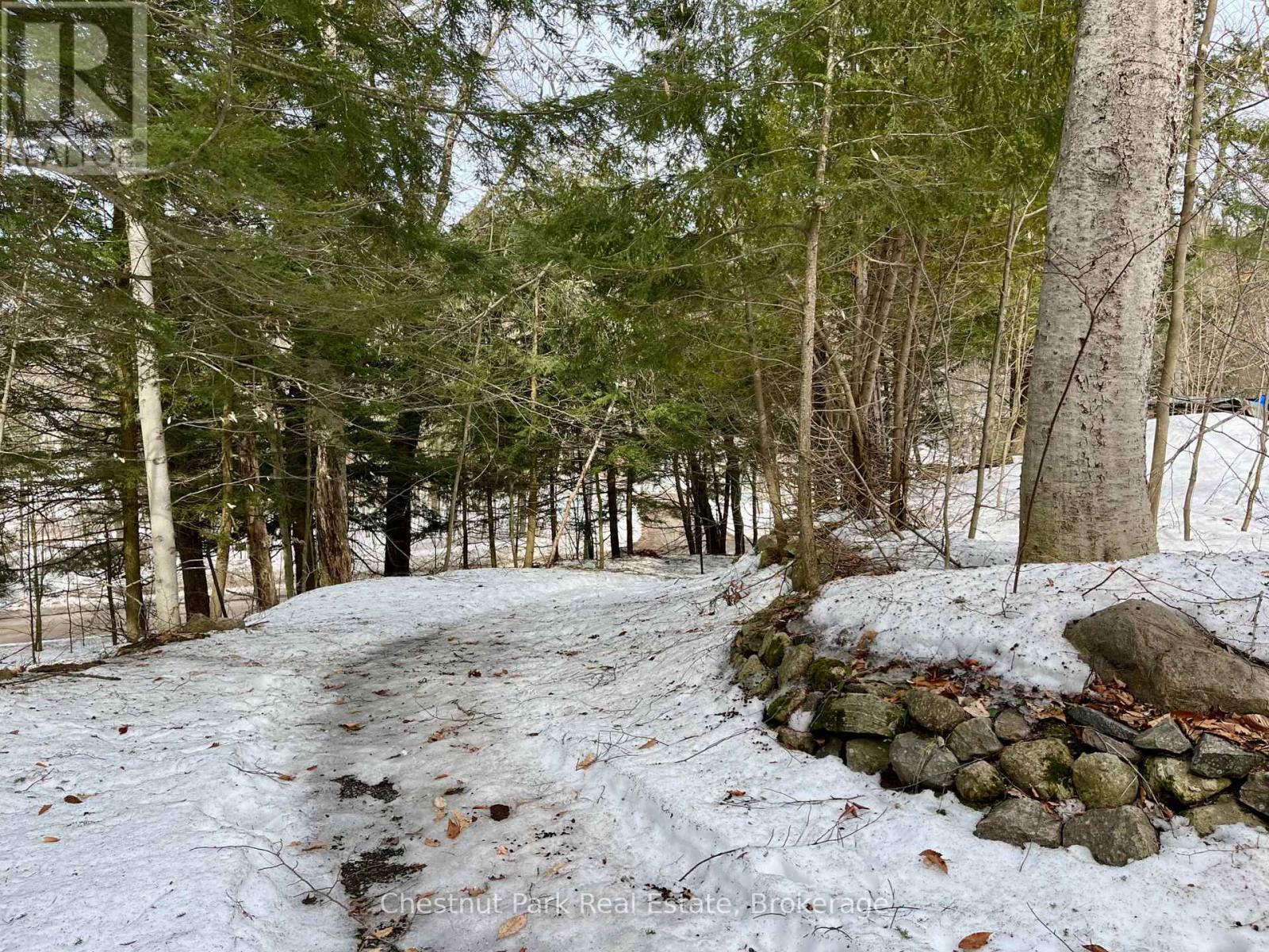 34 Harris Street, Muskoka Lakes, Ontario  P0B 1J0 - Photo 19 - X12955158