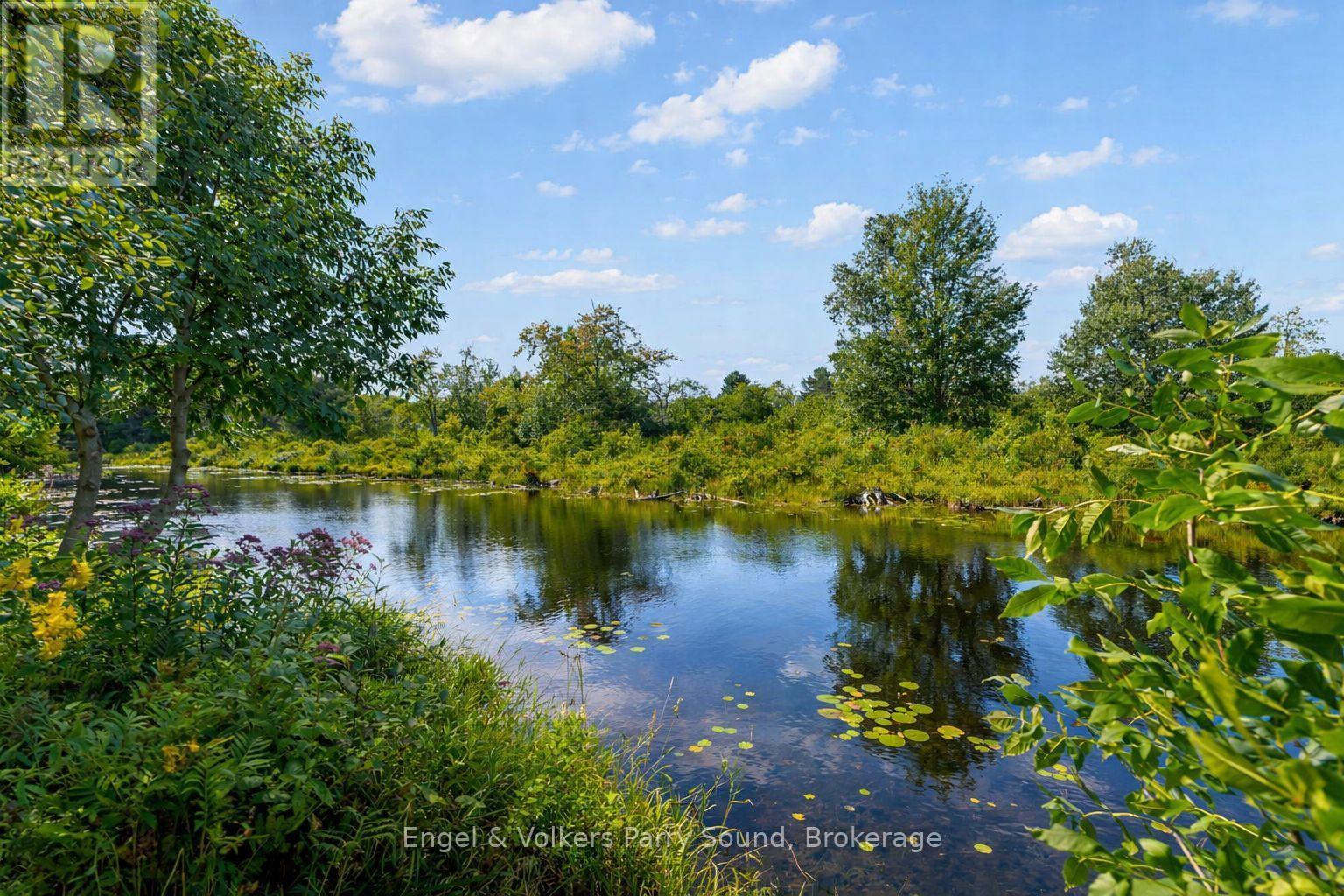 54 River Street, Parry Sound, Ontario  P2A 2T6 - Photo 31 - X12956110