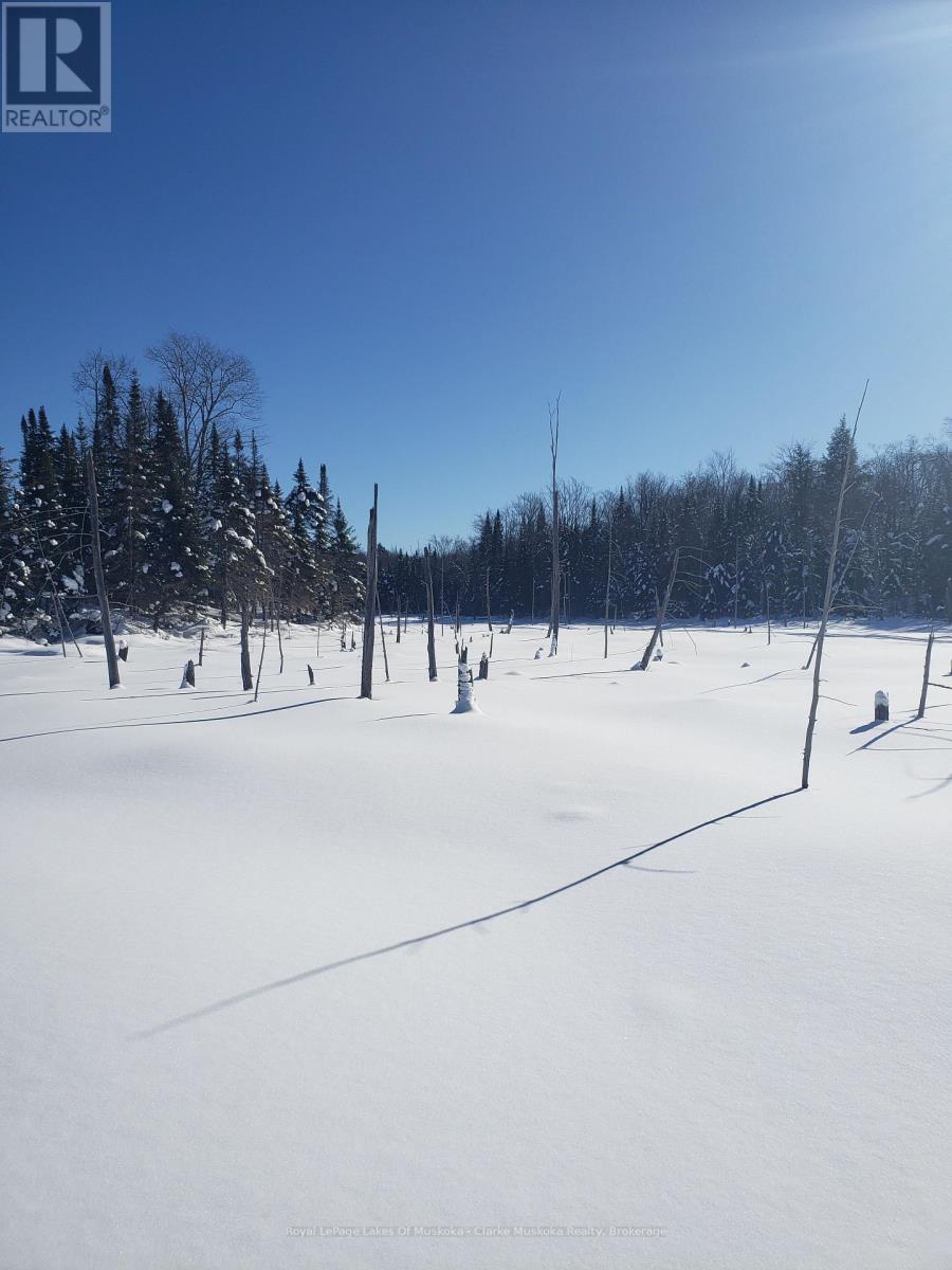 1210 Falkenburg Road, Bracebridge, Ontario  P1L 1X4 - Photo 30 - X12960712