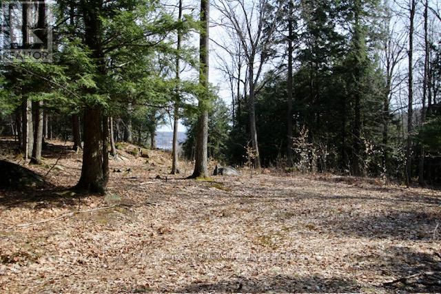 6 - 22 Gryffin Bluffs Lane, Huntsville, Ontario  P0B 1M0 - Photo 1 - X12967636
