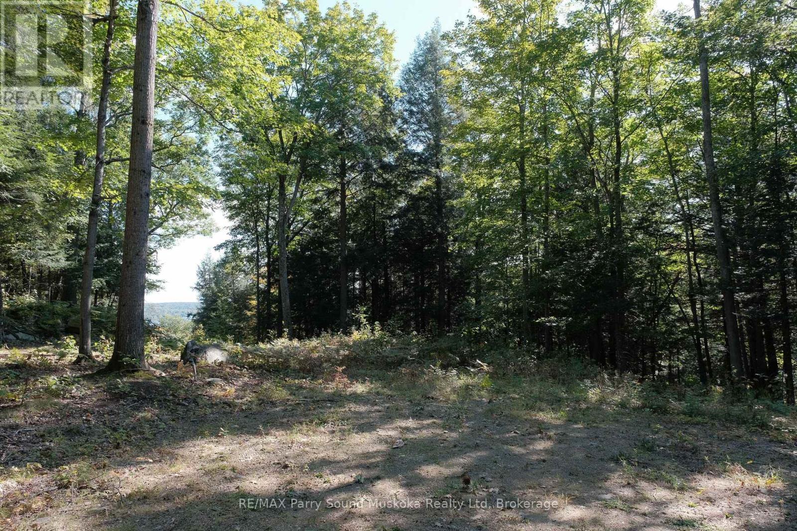6 - 22 Gryffin Bluffs Lane, Huntsville, Ontario  P0B 1M0 - Photo 10 - X12967636