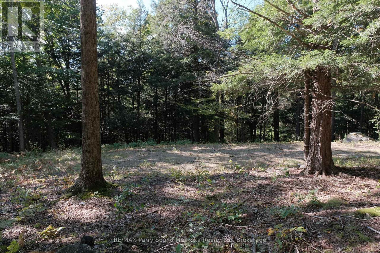 6 - 22 Gryffin Bluffs Lane, Huntsville, Ontario  P0B 1M0 - Photo 13 - X12967636