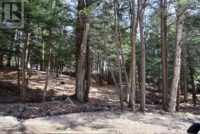 6 - 22 Gryffin Bluffs Lane, Huntsville, Ontario  P0B 1M0 - Photo 19 - X12967636