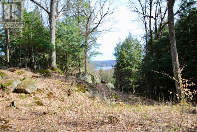 6 - 22 Gryffin Bluffs Lane, Huntsville, Ontario  P0B 1M0 - Photo 2 - X12967636