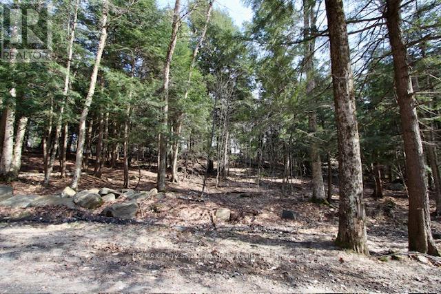 6 - 22 Gryffin Bluffs Lane, Huntsville, Ontario  P0B 1M0 - Photo 20 - X12967636