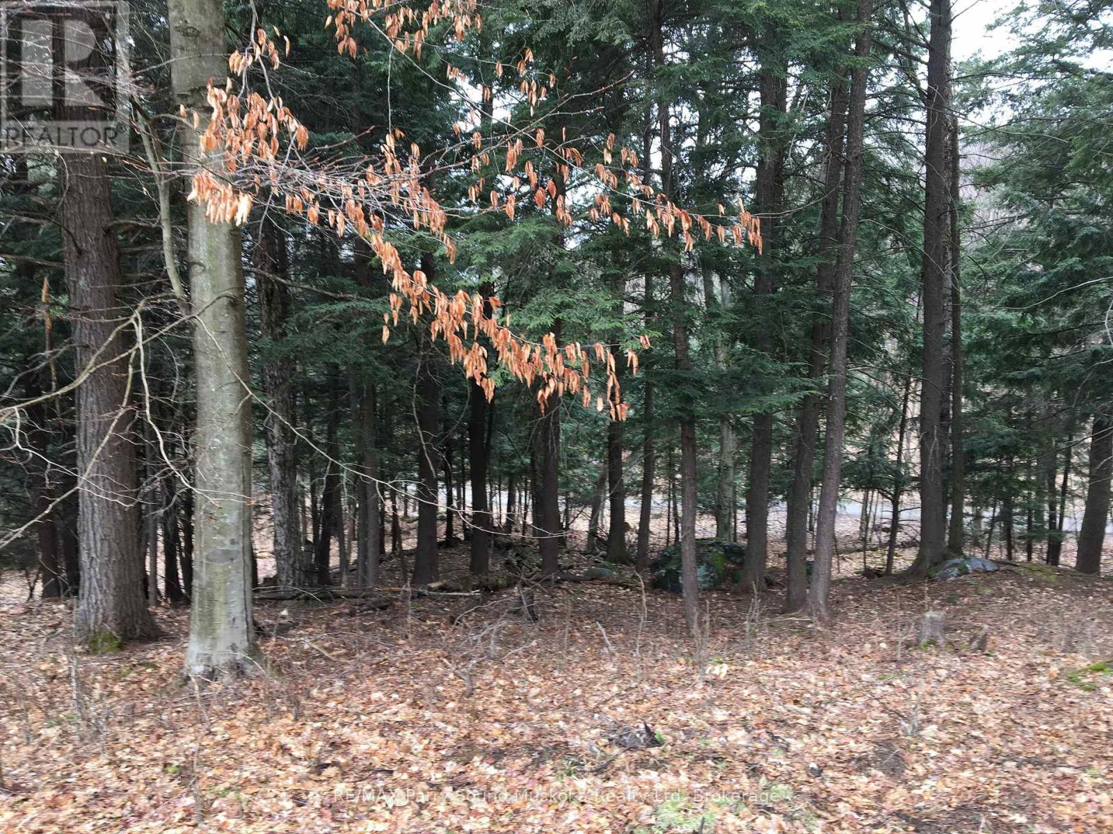 6 - 22 Gryffin Bluffs Lane, Huntsville, Ontario  P0B 1M0 - Photo 22 - X12967636