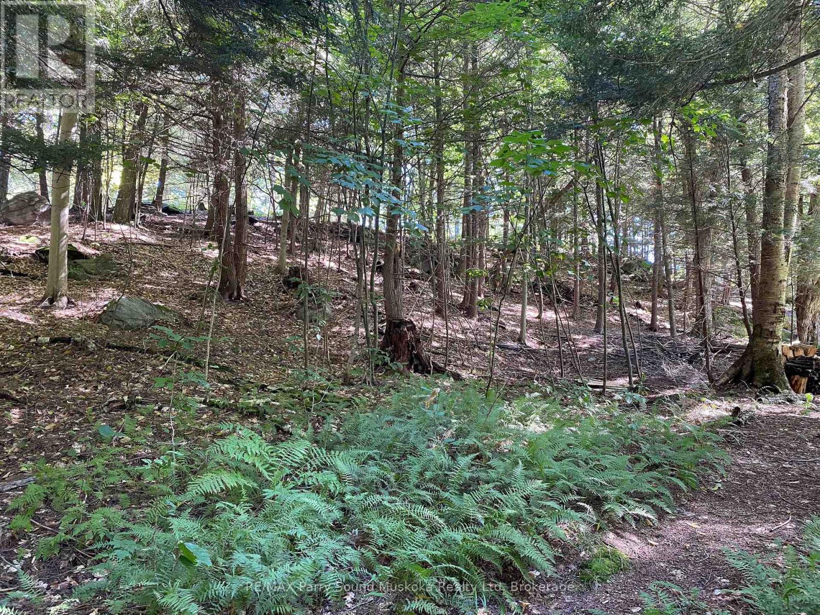 6 - 22 Gryffin Bluffs Lane, Huntsville, Ontario  P0B 1M0 - Photo 23 - X12967636