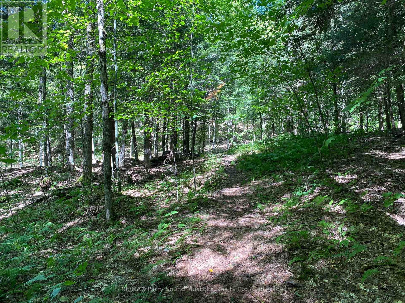 6 - 22 Gryffin Bluffs Lane, Huntsville, Ontario  P0B 1M0 - Photo 24 - X12967636