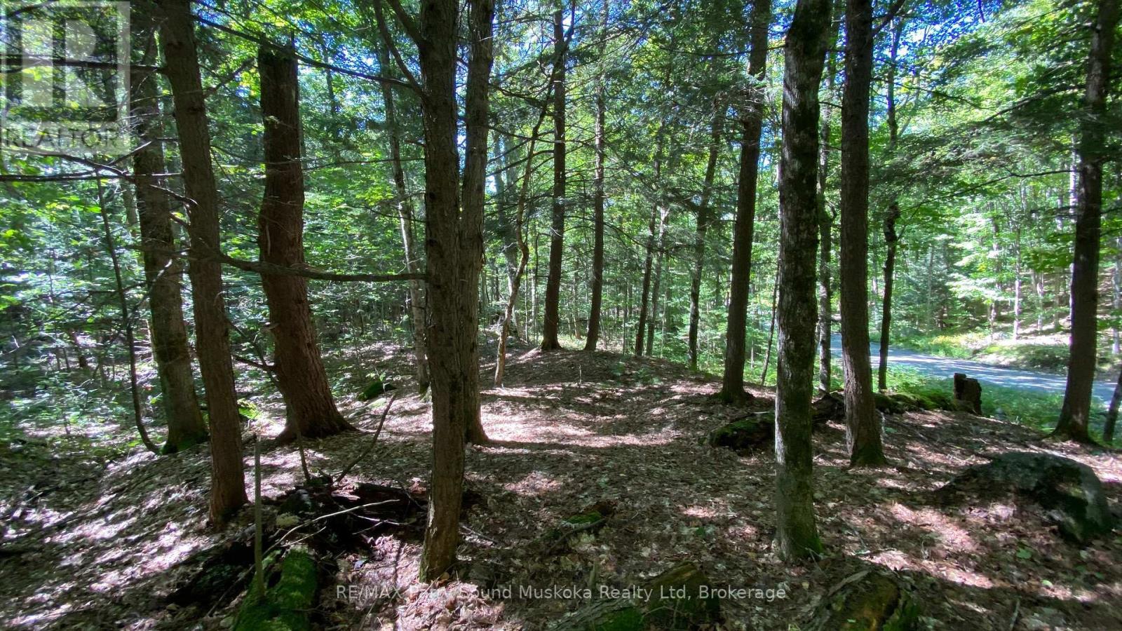 6 - 22 Gryffin Bluffs Lane, Huntsville, Ontario  P0B 1M0 - Photo 25 - X12967636