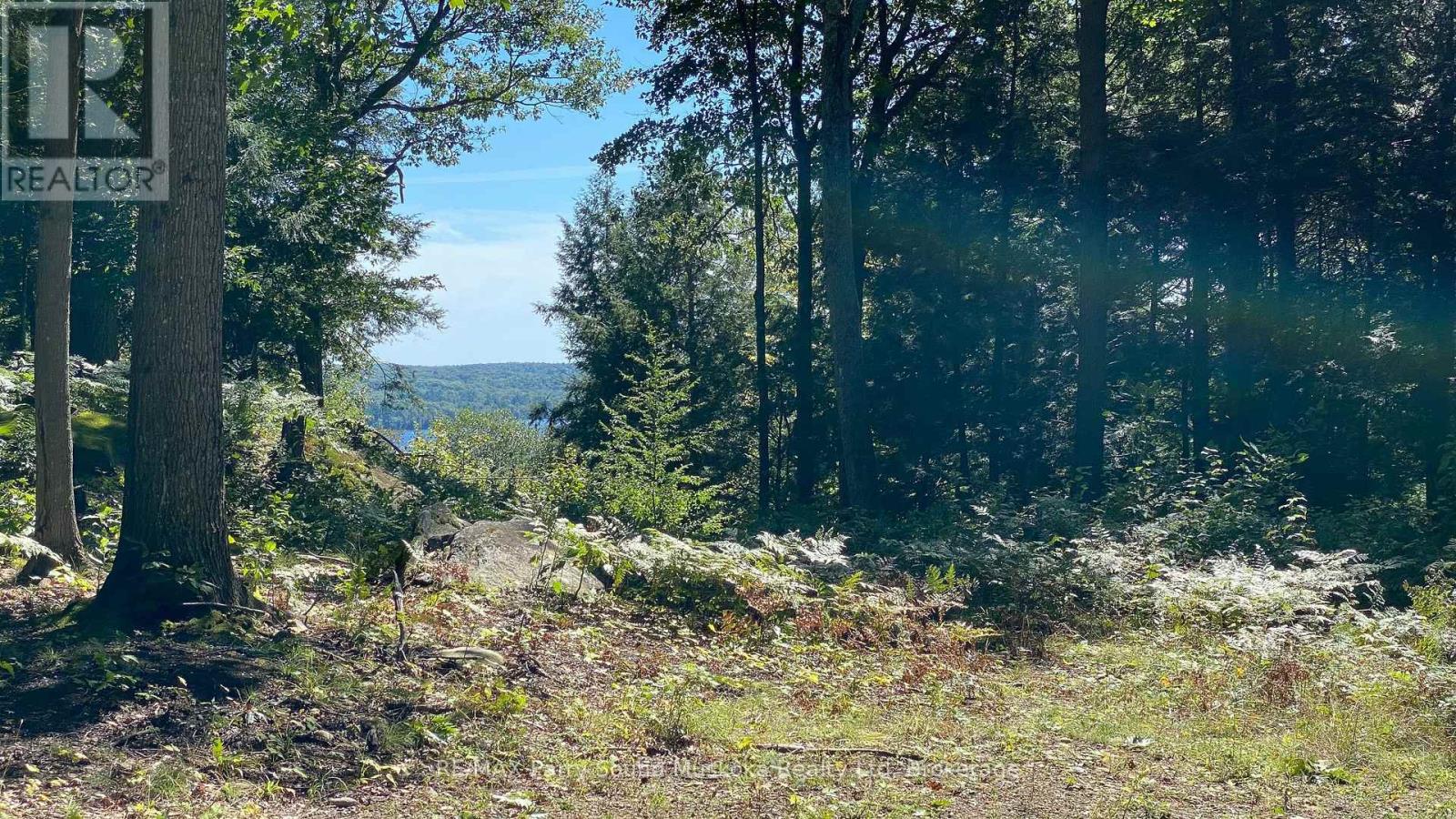 6 - 22 Gryffin Bluffs Lane, Huntsville, Ontario  P0B 1M0 - Photo 26 - X12967636
