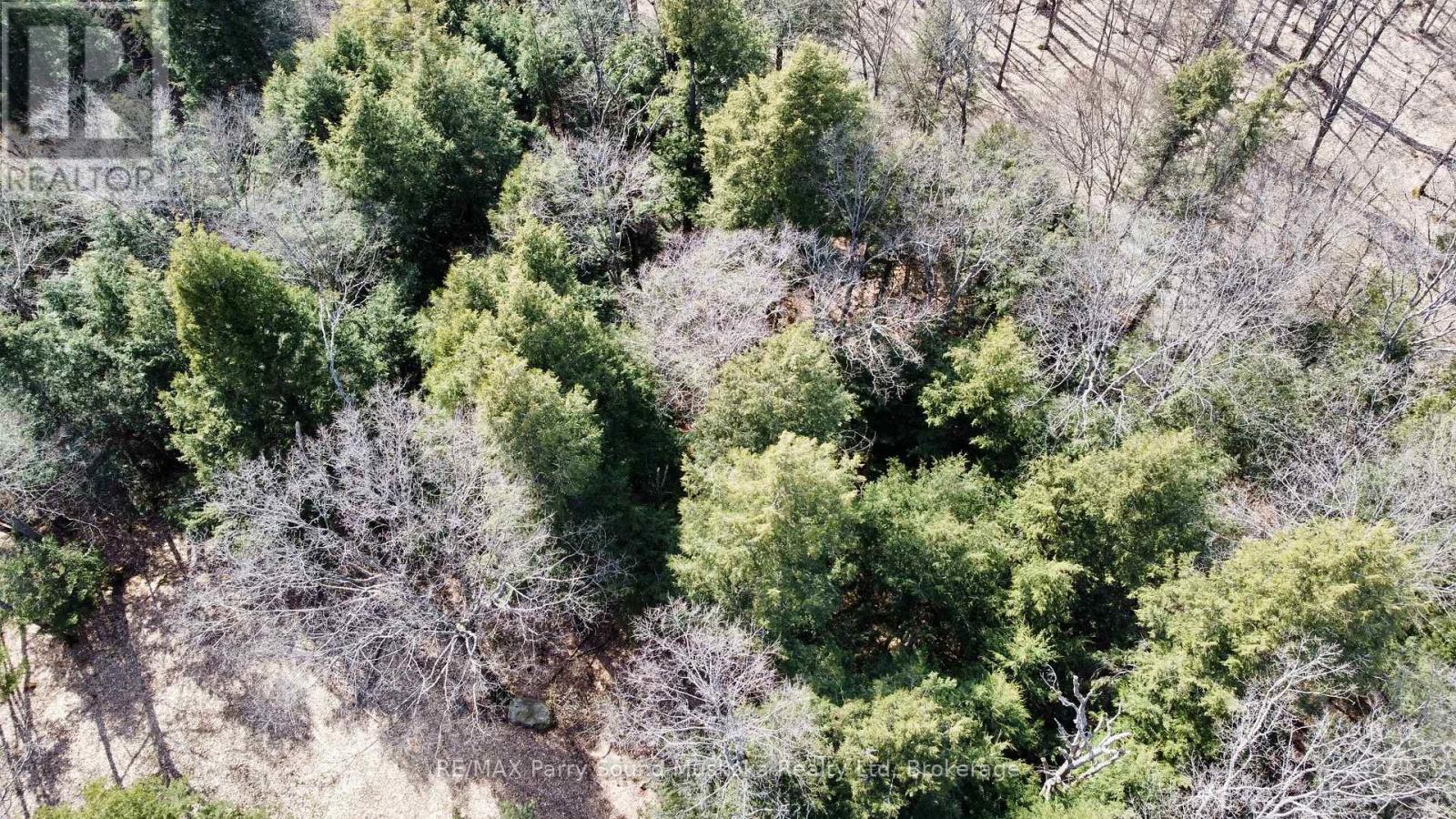 6 - 22 Gryffin Bluffs Lane, Huntsville, Ontario  P0B 1M0 - Photo 28 - X12967636