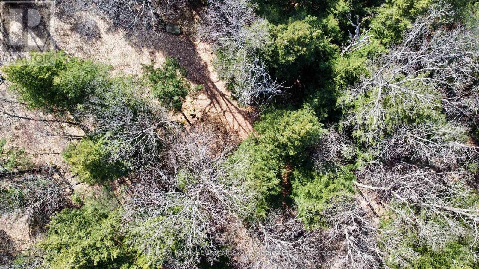 6 - 22 Gryffin Bluffs Lane, Huntsville, Ontario  P0B 1M0 - Photo 29 - X12967636