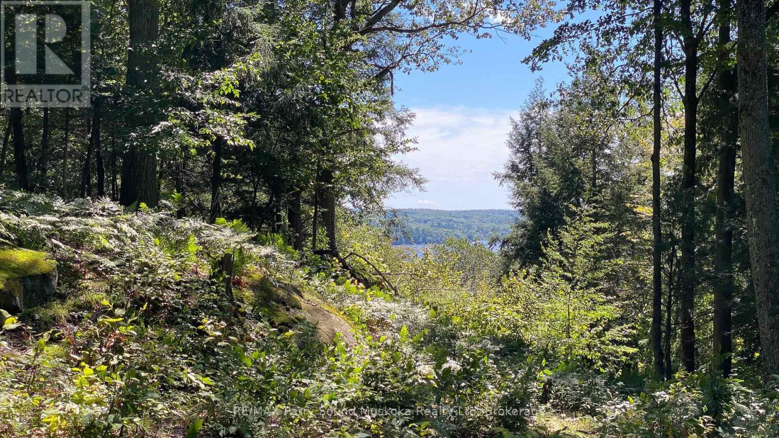6 - 22 Gryffin Bluffs Lane, Huntsville, Ontario  P0B 1M0 - Photo 3 - X12967636