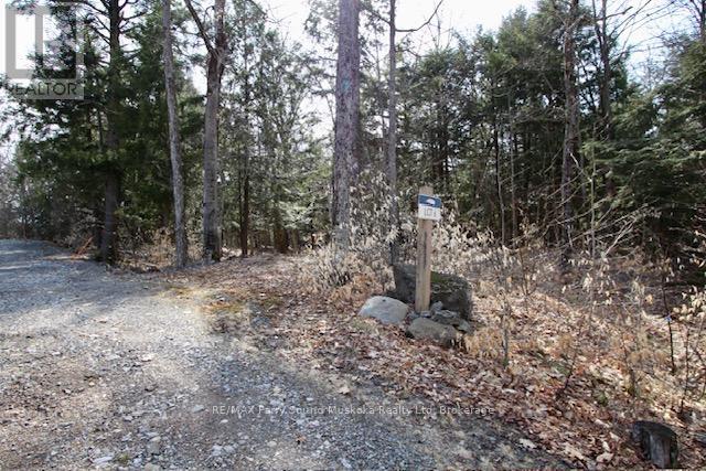 6 - 22 Gryffin Bluffs Lane, Huntsville, Ontario  P0B 1M0 - Photo 5 - X12967636