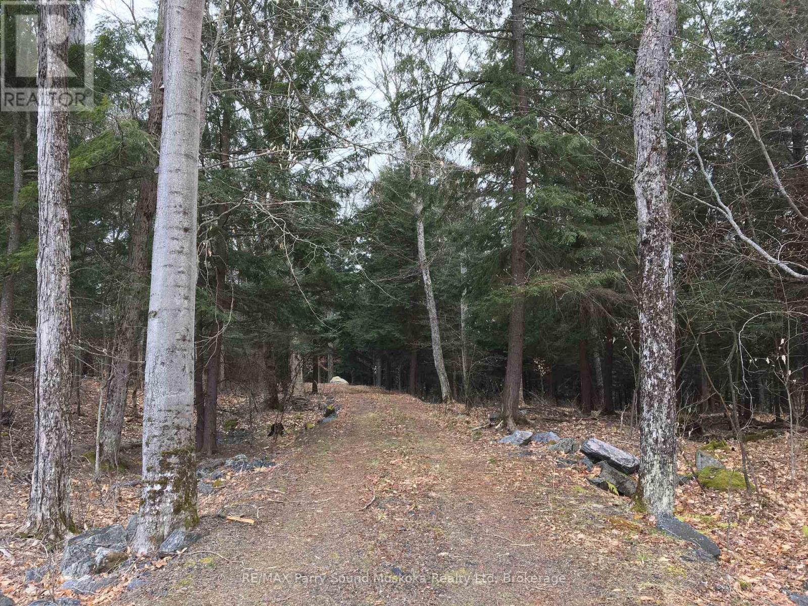 6 - 22 Gryffin Bluffs Lane, Huntsville, Ontario  P0B 1M0 - Photo 6 - X12967636