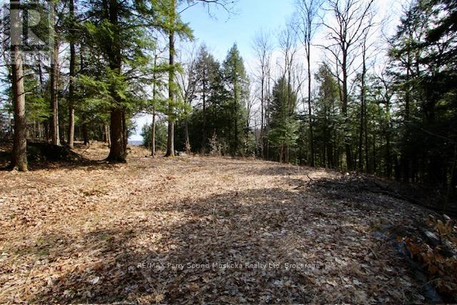 6 - 22 Gryffin Bluffs Lane, Huntsville, Ontario  P0B 1M0 - Photo 7 - X12967636