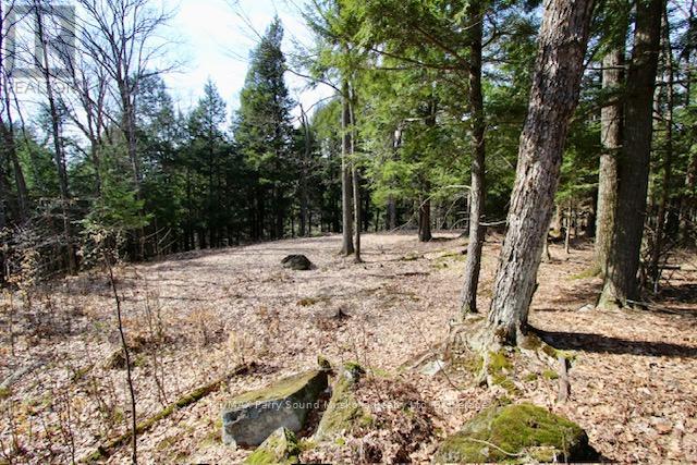 6 - 22 Gryffin Bluffs Lane, Huntsville, Ontario  P0B 1M0 - Photo 8 - X12967636