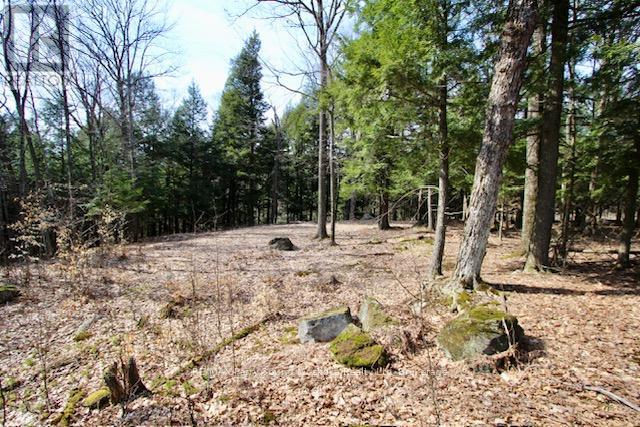 6 - 22 Gryffin Bluffs Lane, Huntsville, Ontario  P0B 1M0 - Photo 9 - X12967636