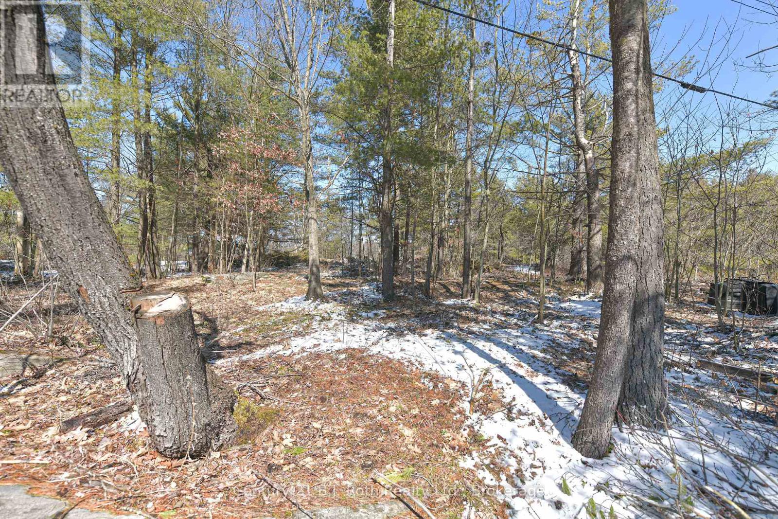 620 Pinedale Road, Gravenhurst, Ontario  P1P 1L5 - Photo 31 - X12971920