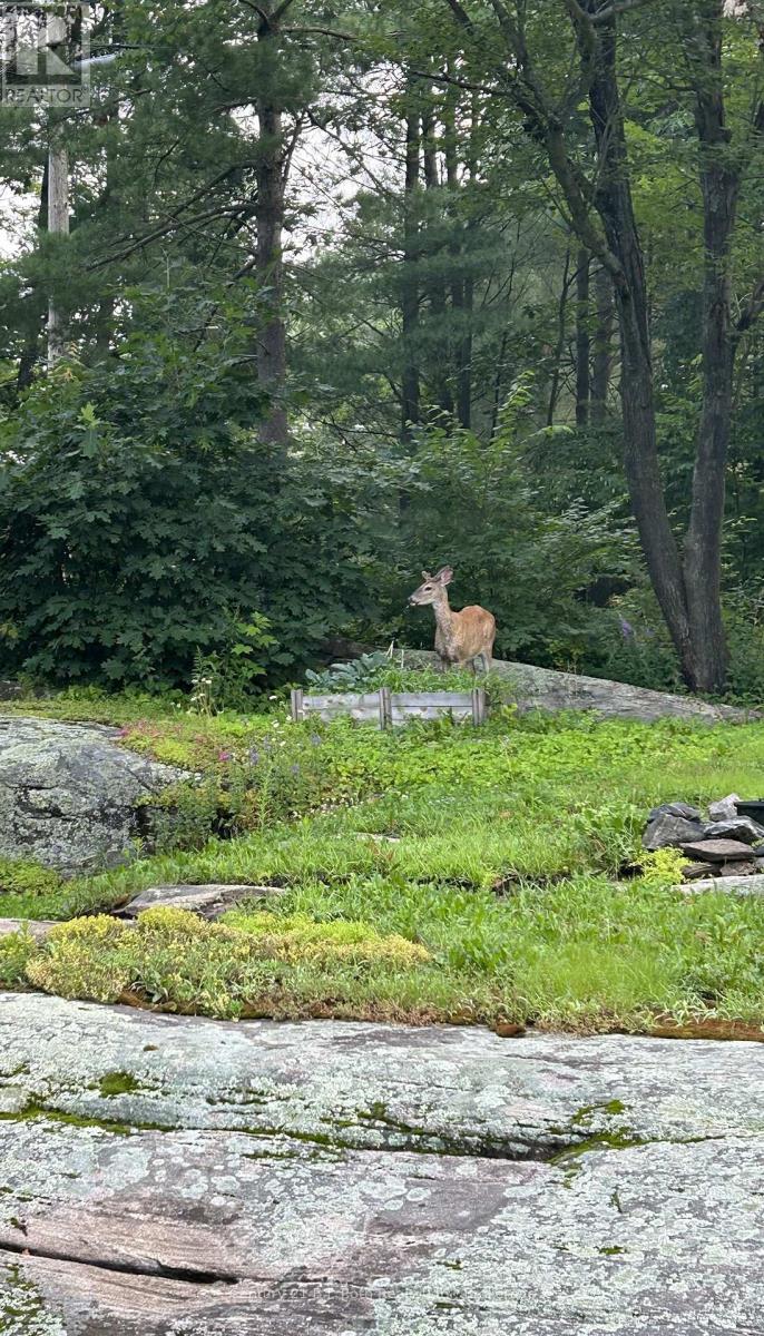 620 Pinedale Road, Gravenhurst, Ontario  P1P 1L5 - Photo 33 - X12971920