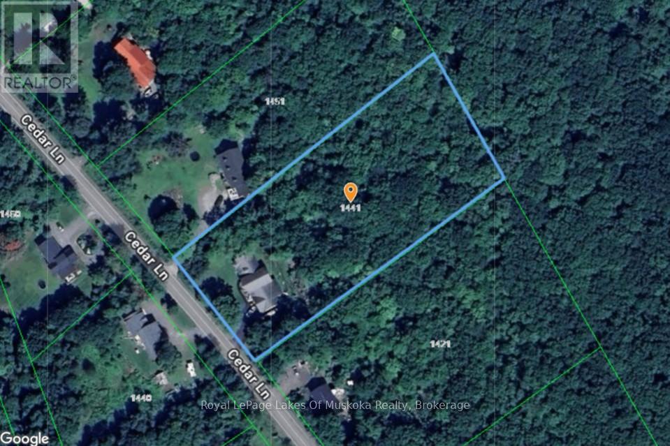 1441 Cedar Lane, Bracebridge, Ontario  P1L 1W9 - Photo 47 - X12977826