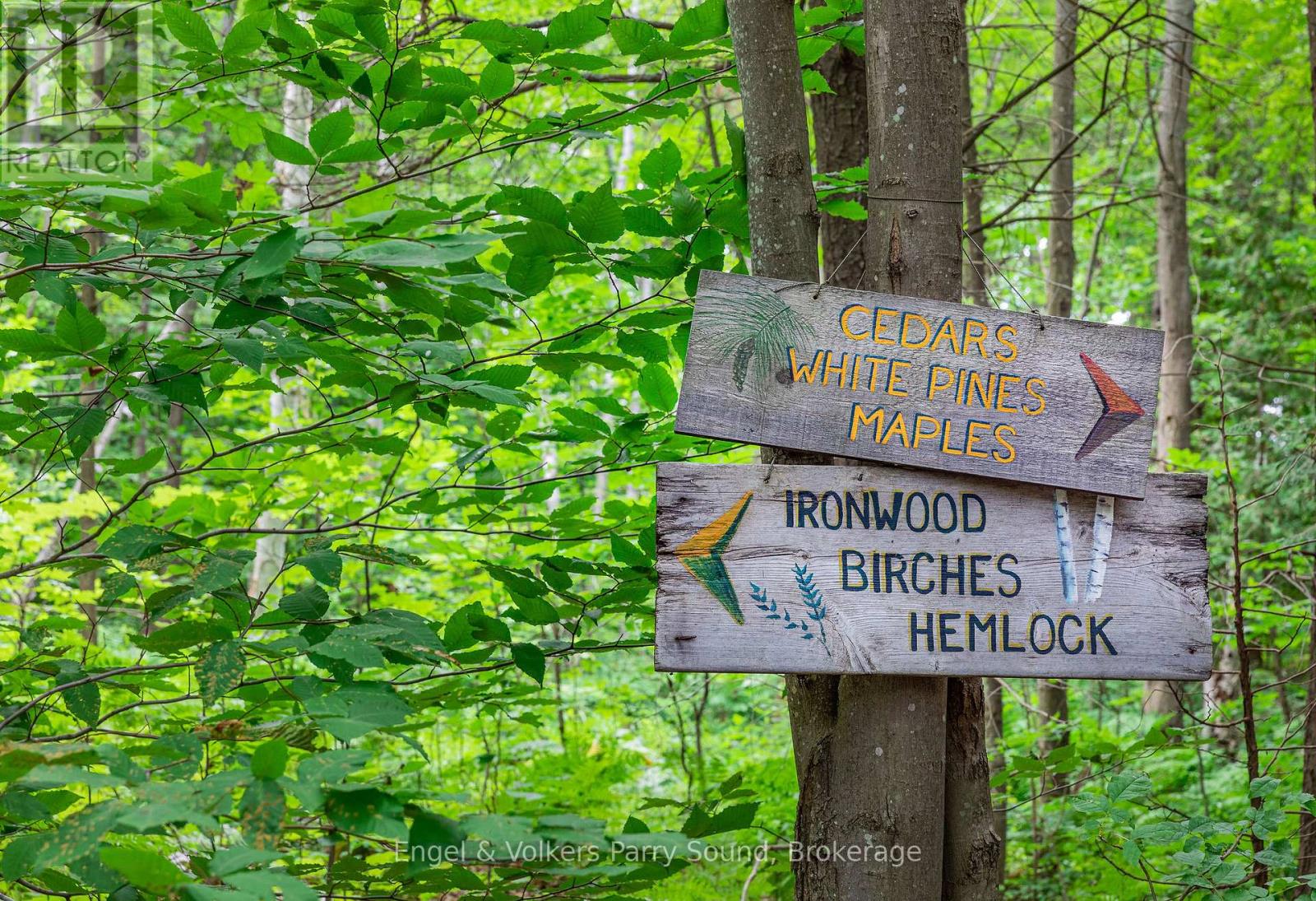 6 Harmony Lane, Parry Sound, Ontario  P2A 0B1 - Photo 38 - X12977886