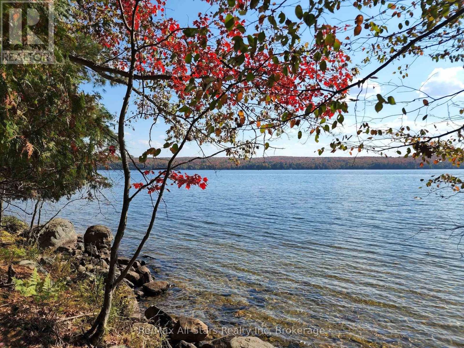 504 Bigwin Island, Lake Of Bays, Ontario  P0A 1H0 - Photo 1 - X12982010
